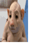 Avatar de l’utilisateur