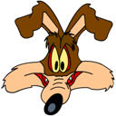 Avatar de l’utilisateur