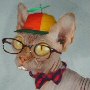 Avatar de l’utilisateur