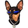 Avatar de l’utilisateur